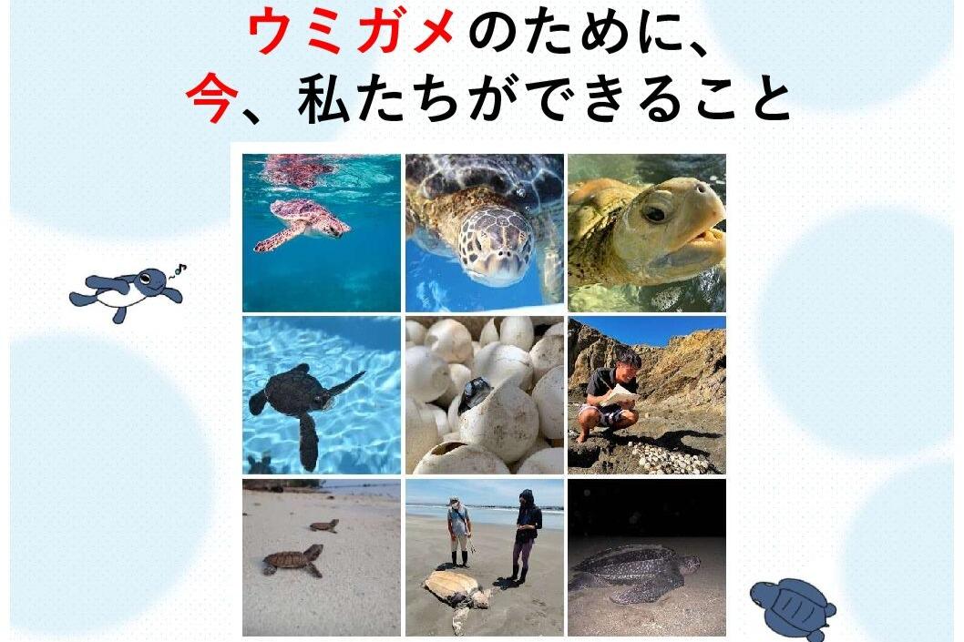 【残り6日！】≪イベント参加者募集≫ウミガメの未来を想う仲間と出会う時間のメインビジュアル