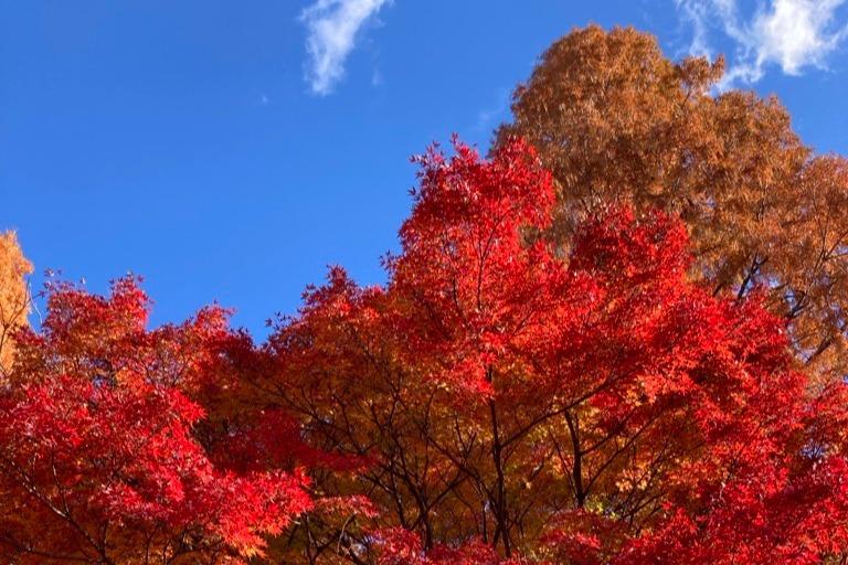 One Month to Go Until the 27th Fukushima Dialogue!のメインビジュアル