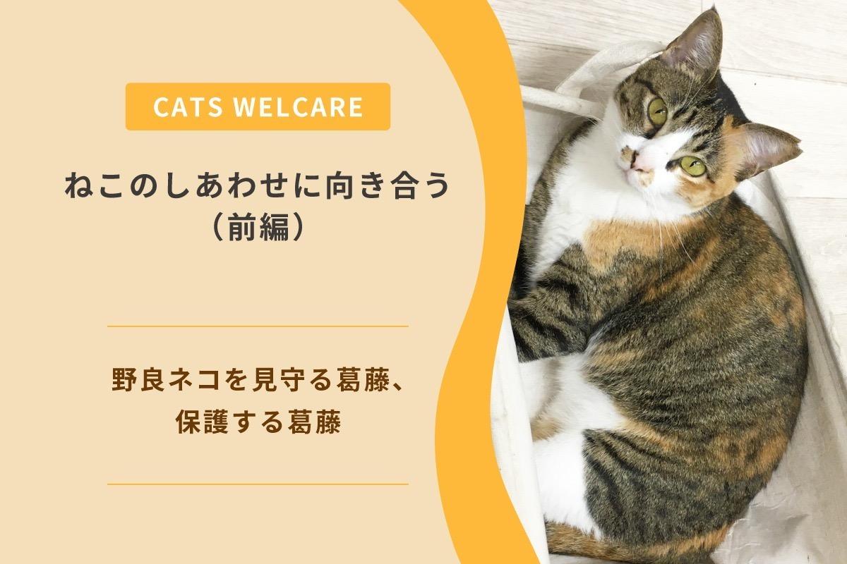 ねこのしあわせに向き合う（前編） 〜野良ネコを見守る葛藤、保護する葛藤〜のメインビジュアル