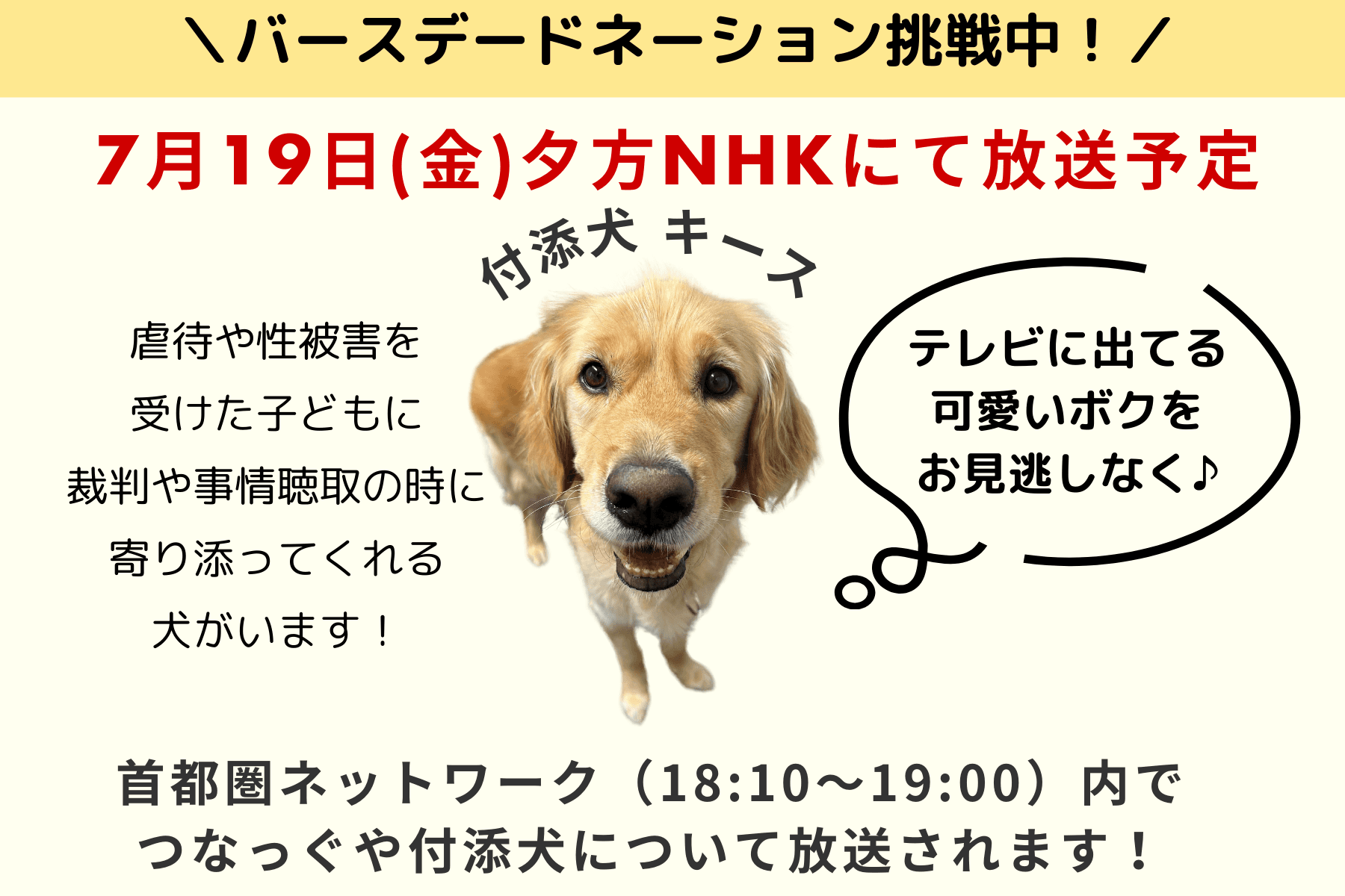 【放送告知！】明日19日（金）NHK首都圏ネットワークで付添犬について放送される予定です！のメインビジュアル