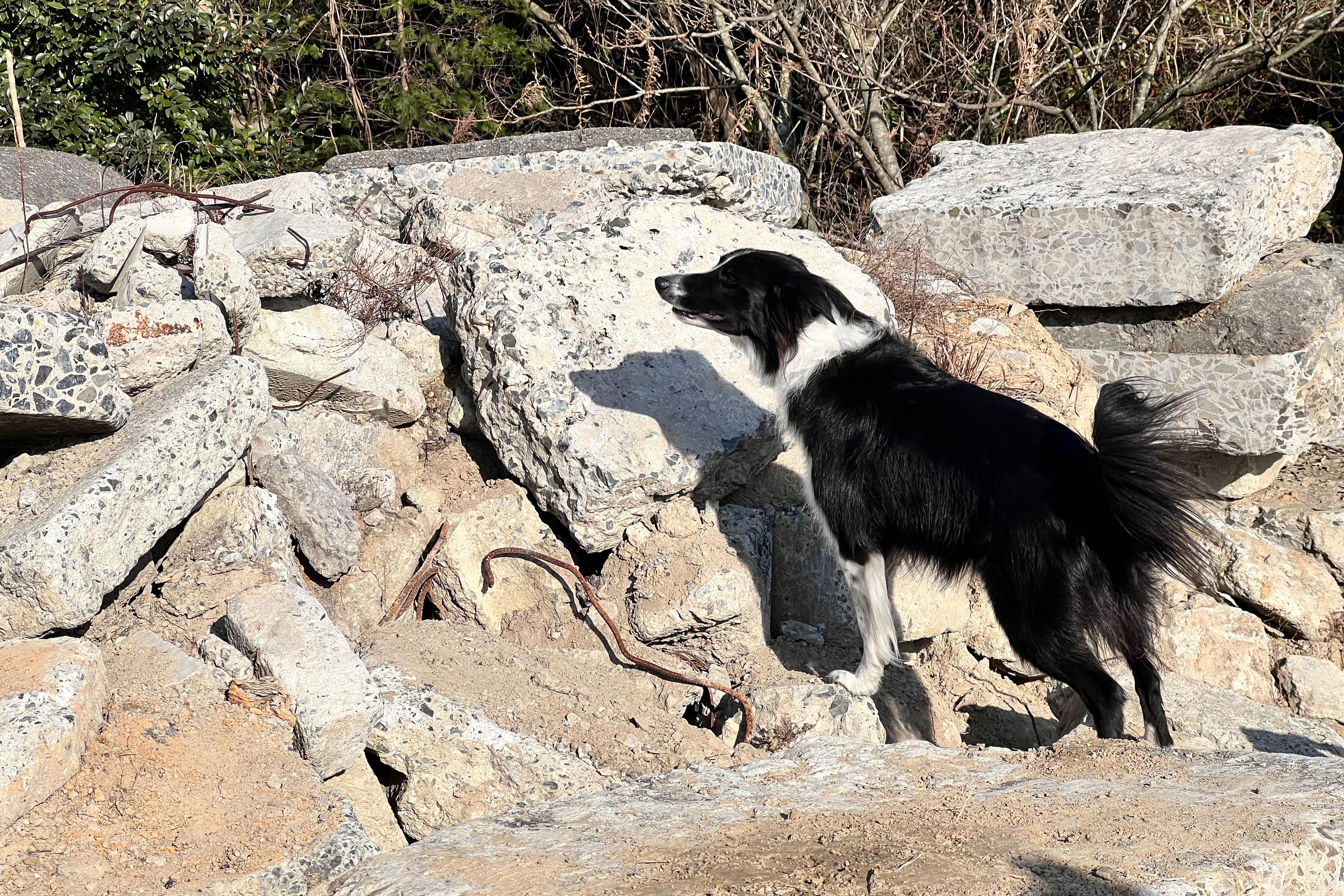 実働機関との連携訓練に参加しました！のメインビジュアル