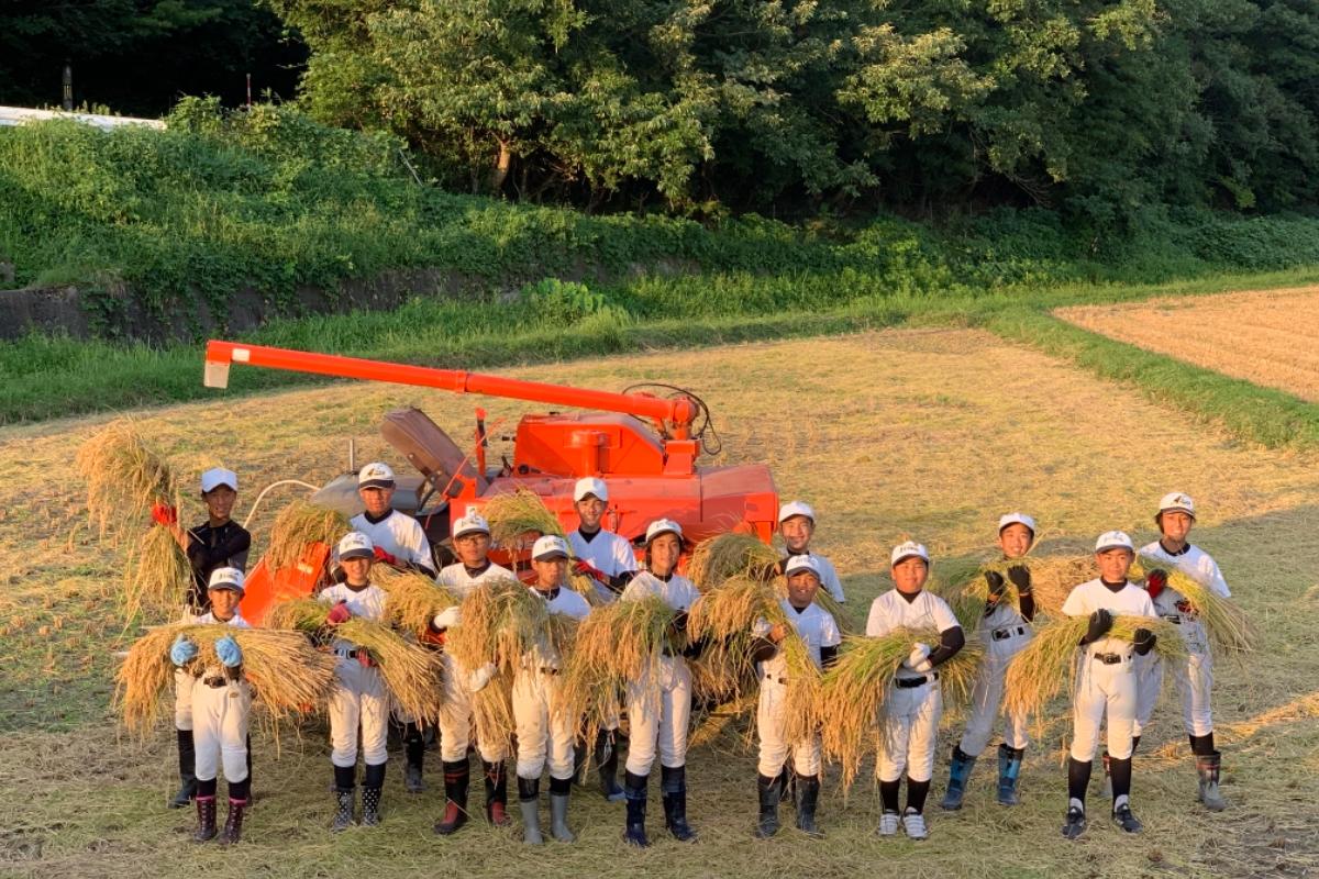 地域の未来へのメインビジュアル