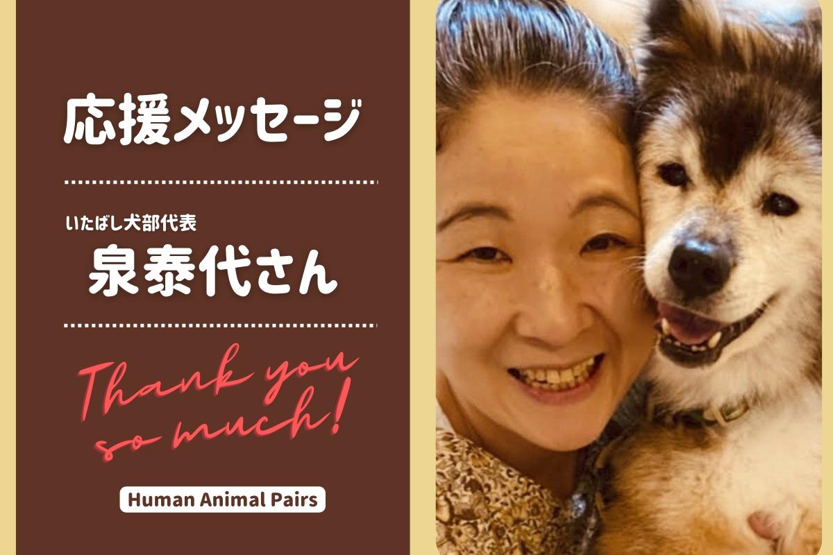 【キャンペーンラストスパート】いたばし犬部の泉さんより応援メッセージをいただきました！のメインビジュアル