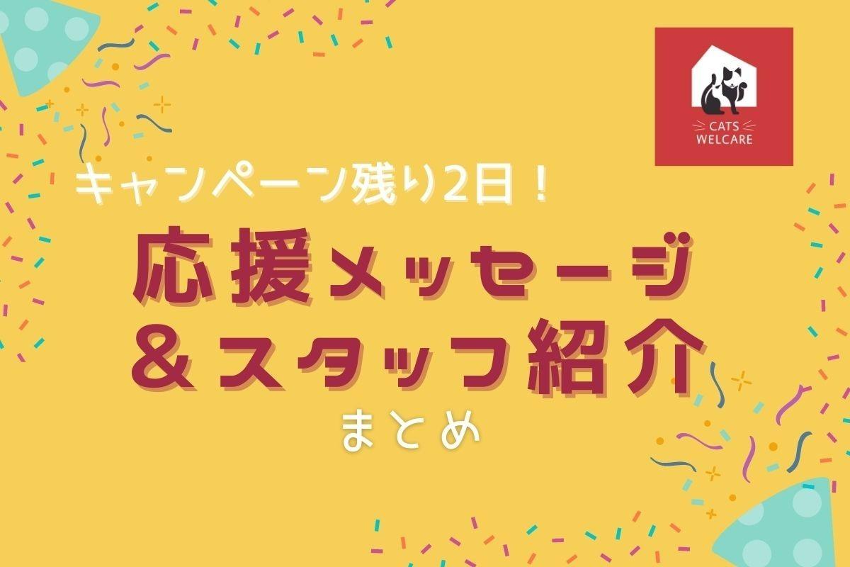 応援メッセージ&スタッフ紹介まとめのメインビジュアル