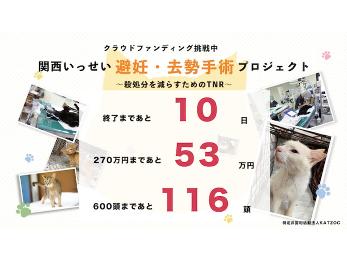 【進捗報告】目標達成率81％、あと53万円のメインビジュアル