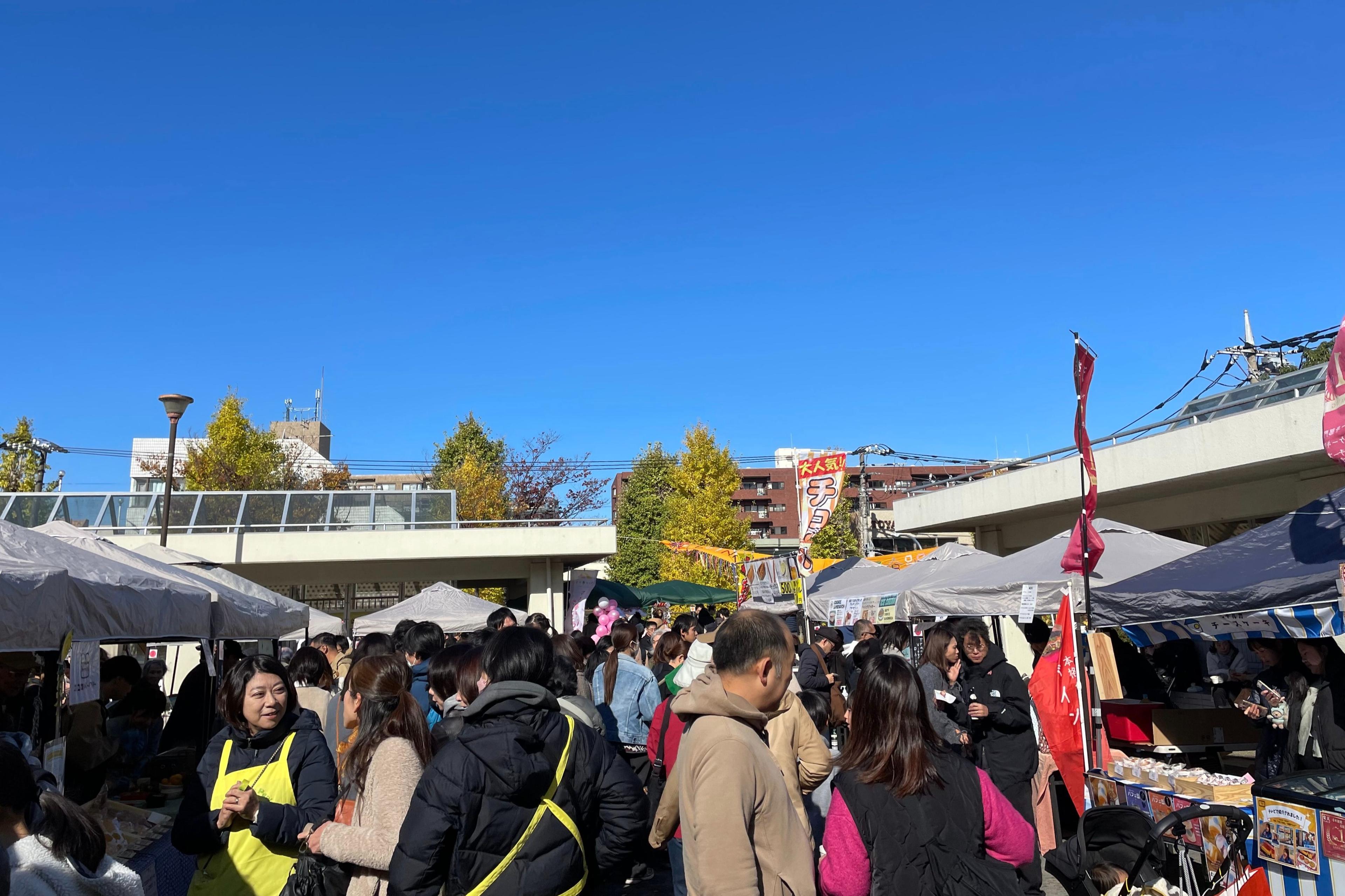 あおばを食べる収穫祭が無事終了しました！クラファンへのご協力ありがとうございました！のメインビジュアル