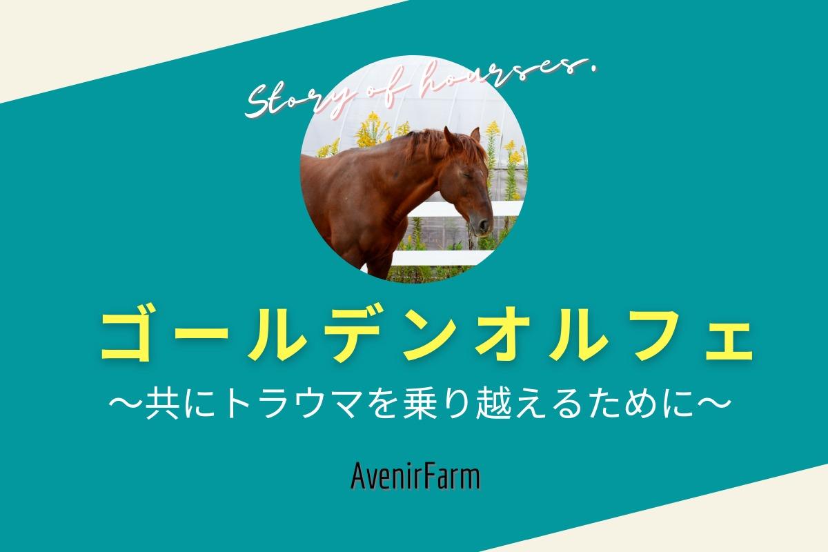 馬とのストーリーコンテンツ② ゴールデンオルフェ 〜共にトラウマを乗り越えるために〜のメインビジュアル