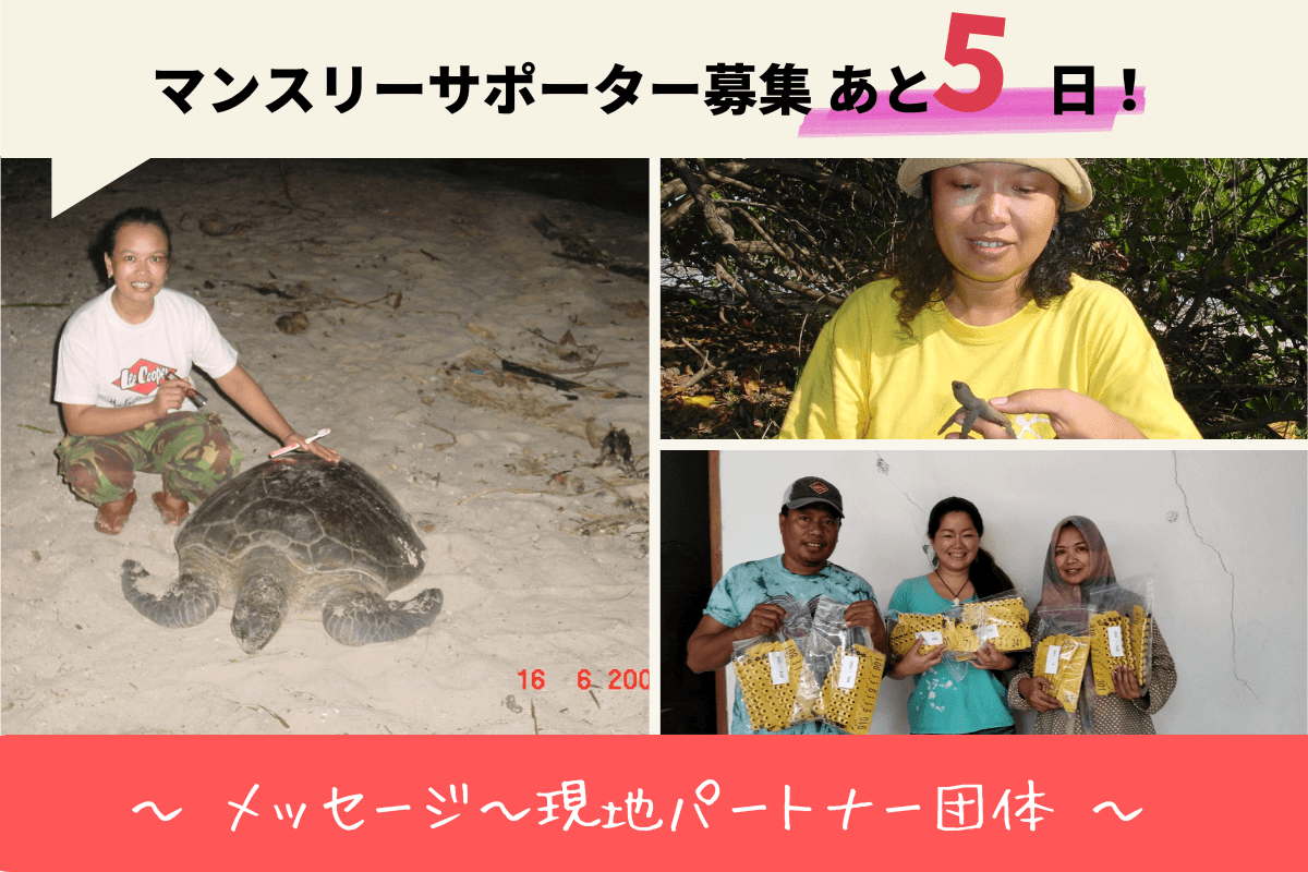 メッセージ～現地パートナー団体スタッフEmaのメインビジュアル