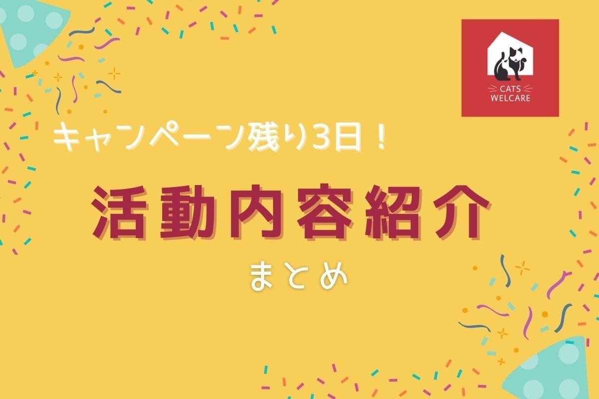 活動内容紹介まとめのメインビジュアル