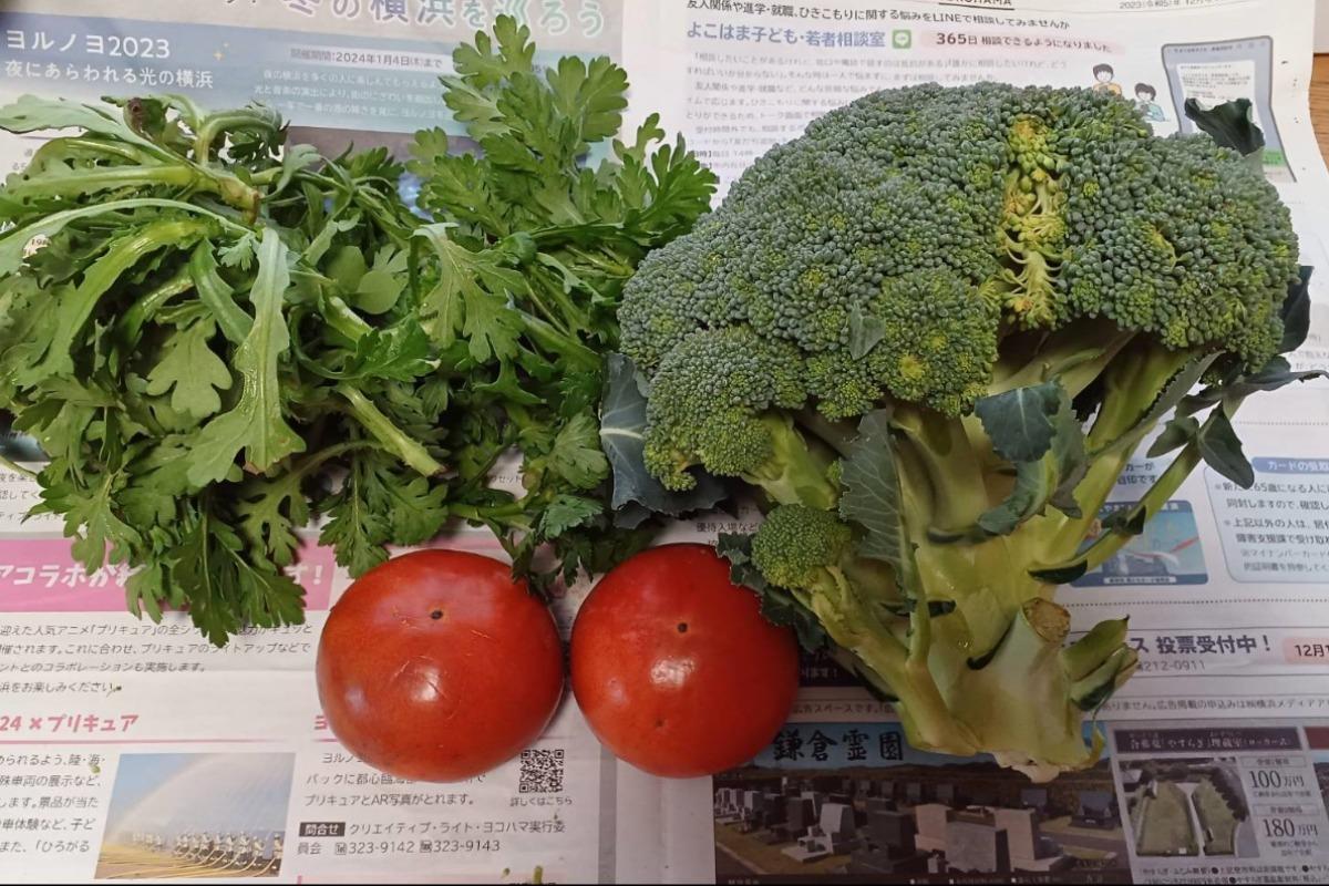 地域の方からとれたて野菜をいただきましたのメインビジュアル
