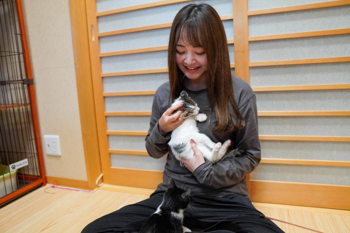 QVQメンバーからこちねこへのメッセージ 松波モモのメインビジュアル