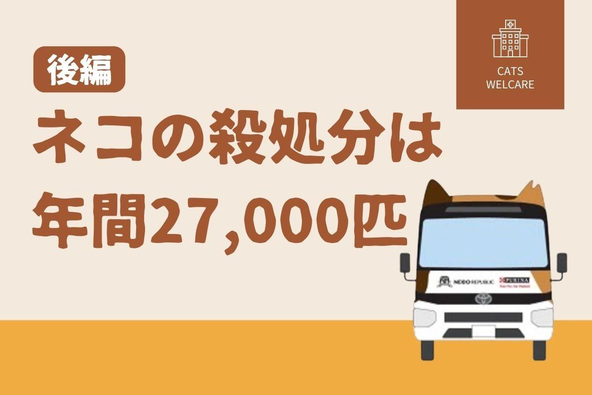 猫の殺処分は年間27000匹　後編のメインビジュアル