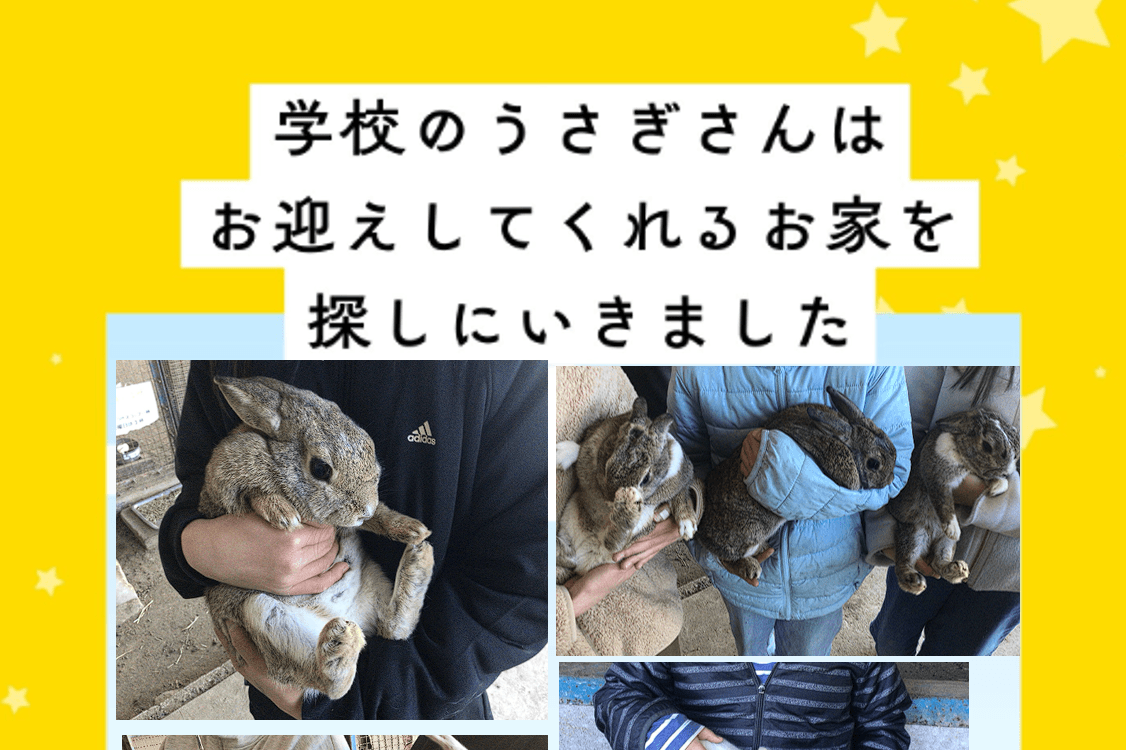 【活動報告②】3/31 活動報告のメインビジュアル