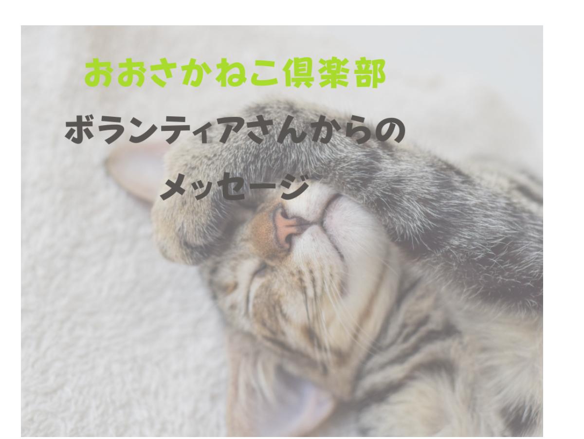 【おおおさかねこ倶楽部】SNSを通じて活動を始めてくれたボランティアさんからのメッセージのメインビジュアル