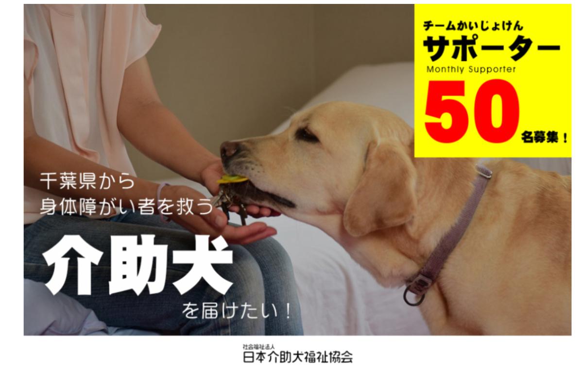 千葉県から身体障がい者を救う介助犬を届けたい！マンスリーサポーター50名募集！の画像