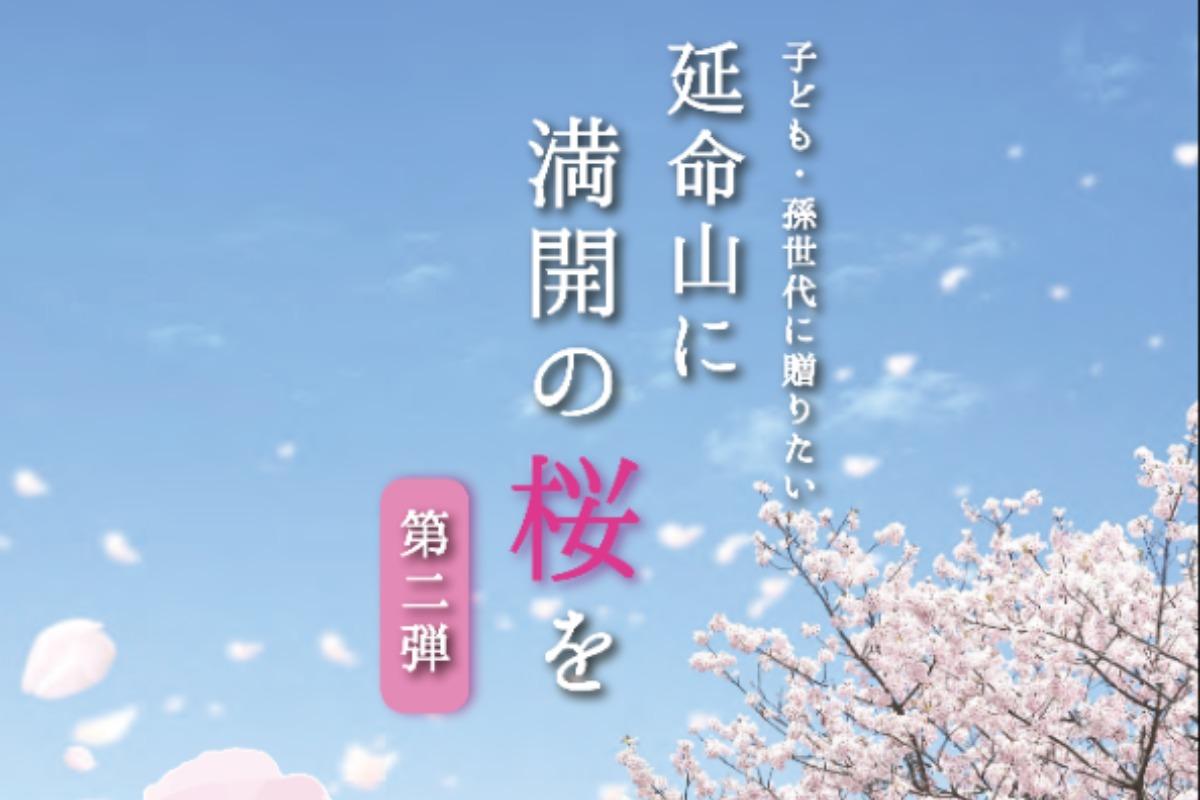 【クレジット決済専用ページ】延命山　桜プロジェクト 第2弾の画像