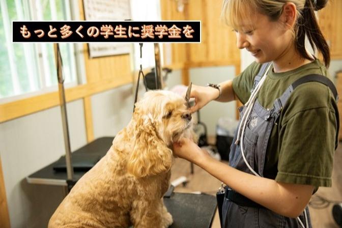 奨学金で動物専門学校に進む学生を応援!の画像