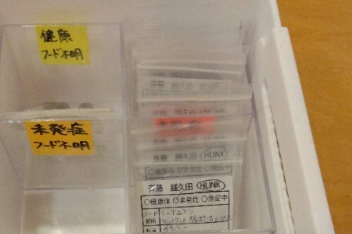 うさぎさんのうっ滞の予防・治療への画像