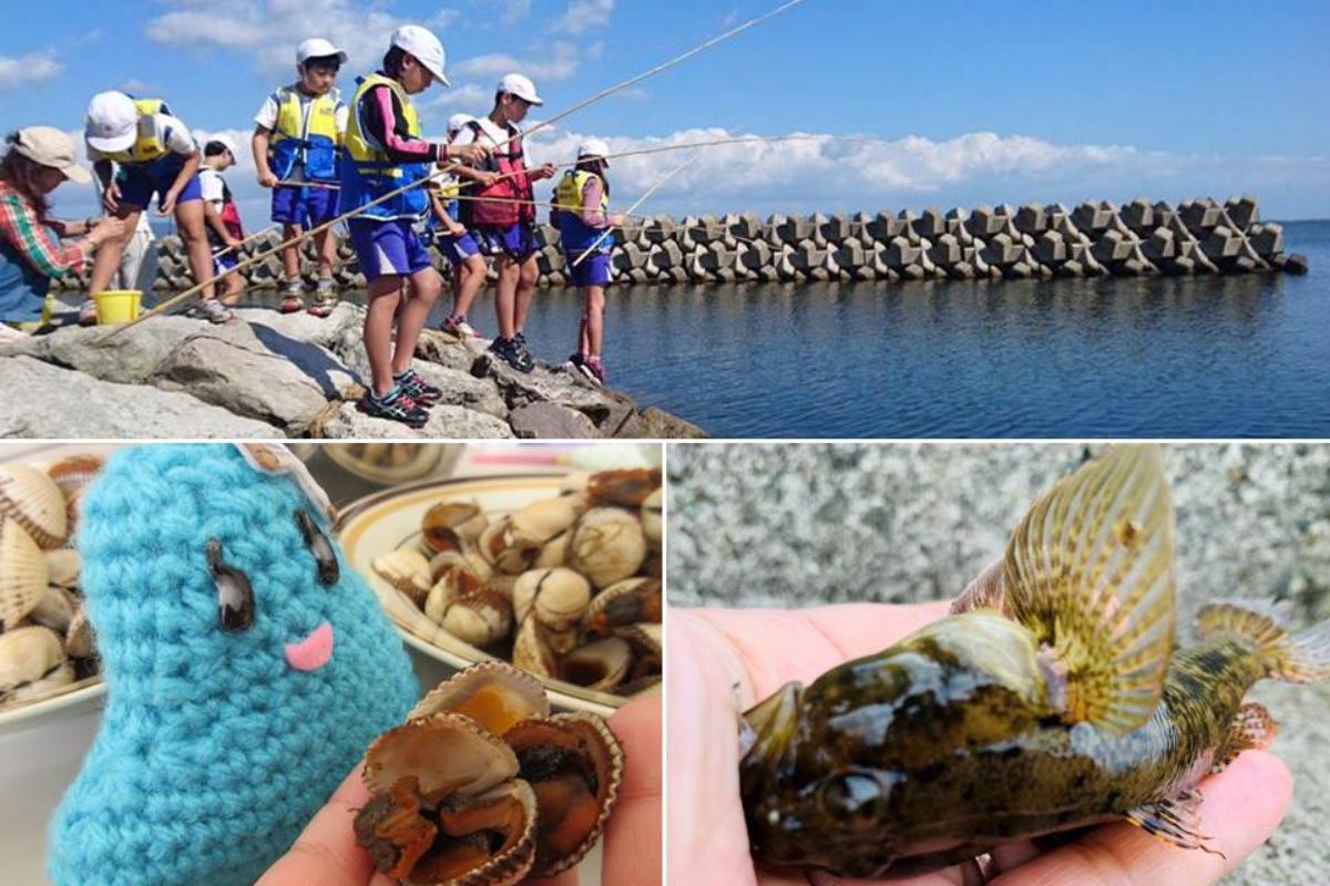 世界に誇る汽水湖（中海・宍道湖）の持続可能な恵みを次世代に残したい！の画像