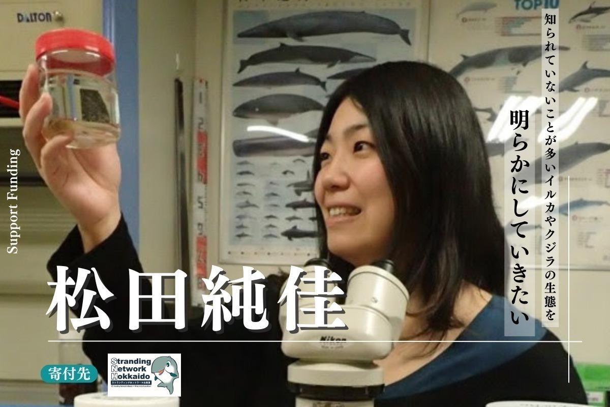 北海道大学博士後研究員・松田純佳のサポートファンディング！〜まだまだ知られていないことが多いイルカやクジラの生態を、明らかにしていきたい。〜の画像