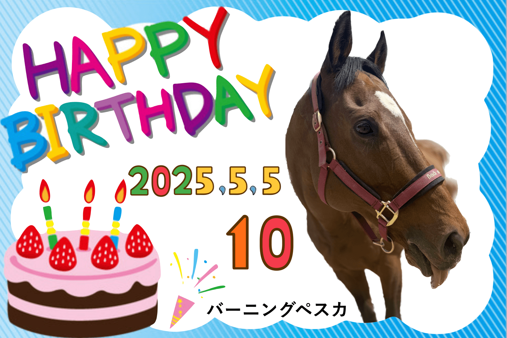 バーニングペスカ 祝・誕生日！引退馬たちに贈るバースデードネーションの画像