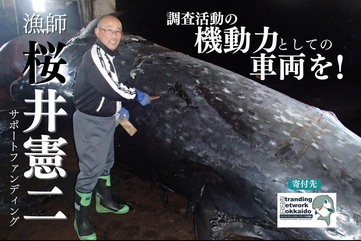 漁師・桜井憲二のサポートファンディング！〜寄鯨調査の機動力としての車両を！〜の画像