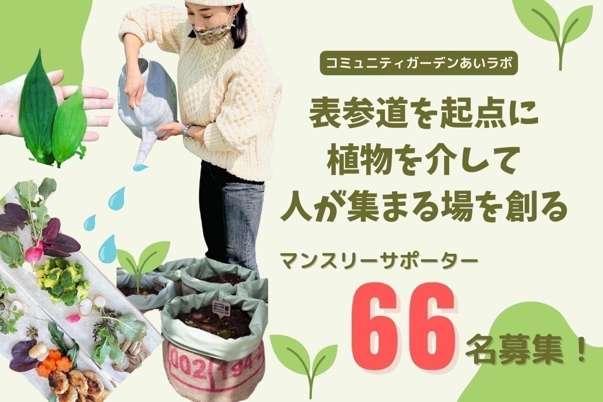 表参道を起点に植物を介して人が集まる場を創る。共にコミュニティガーデンを大きくしてくれるマンスリーサポーター66名募集！の画像