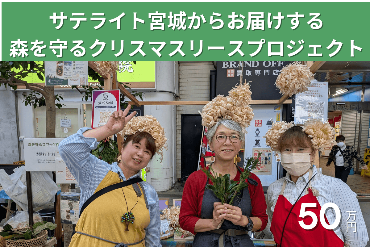 森から生まれたものを、私たちの暮らしへ。 森を遠い存在ではなく、日々の楽しみのすぐそばにあるものとして感じてほしい。の画像