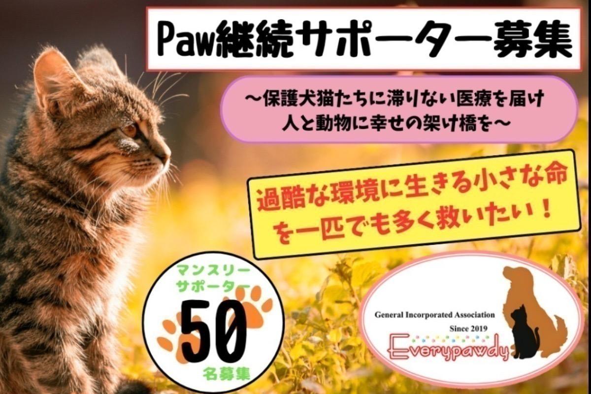 Paw継続サポーター募集　～保護犬猫たちに滞りない医療を！人と動物の幸せの架け橋に～の画像