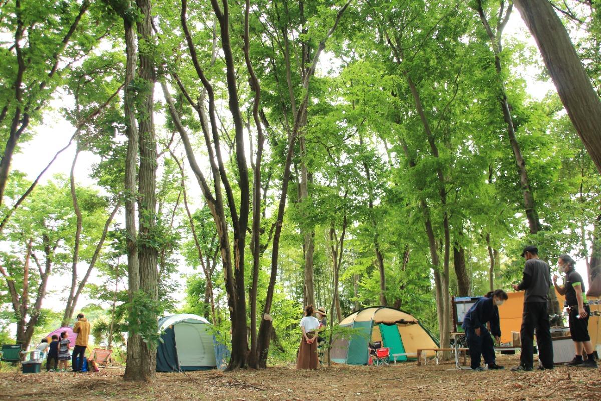 「風來の森」地域の森として活動開始の画像