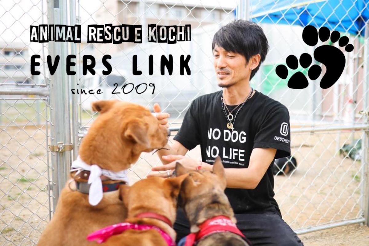 吉村義文のバースデードネーション　犬猫たちの命を繋ぐために寄付を集めたいの画像