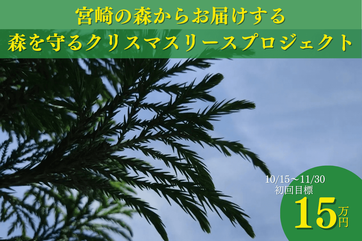 【九州】宮崎県美郷町の森から未来の子どもたちに繋ぐ 2026年森を守るクリスマスリースプロジェクトの画像
