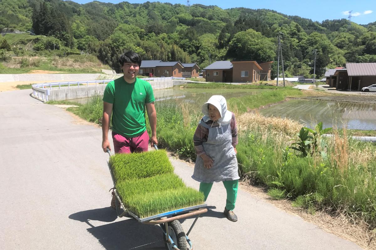 「緑のふるさと協力隊」応援募金の画像