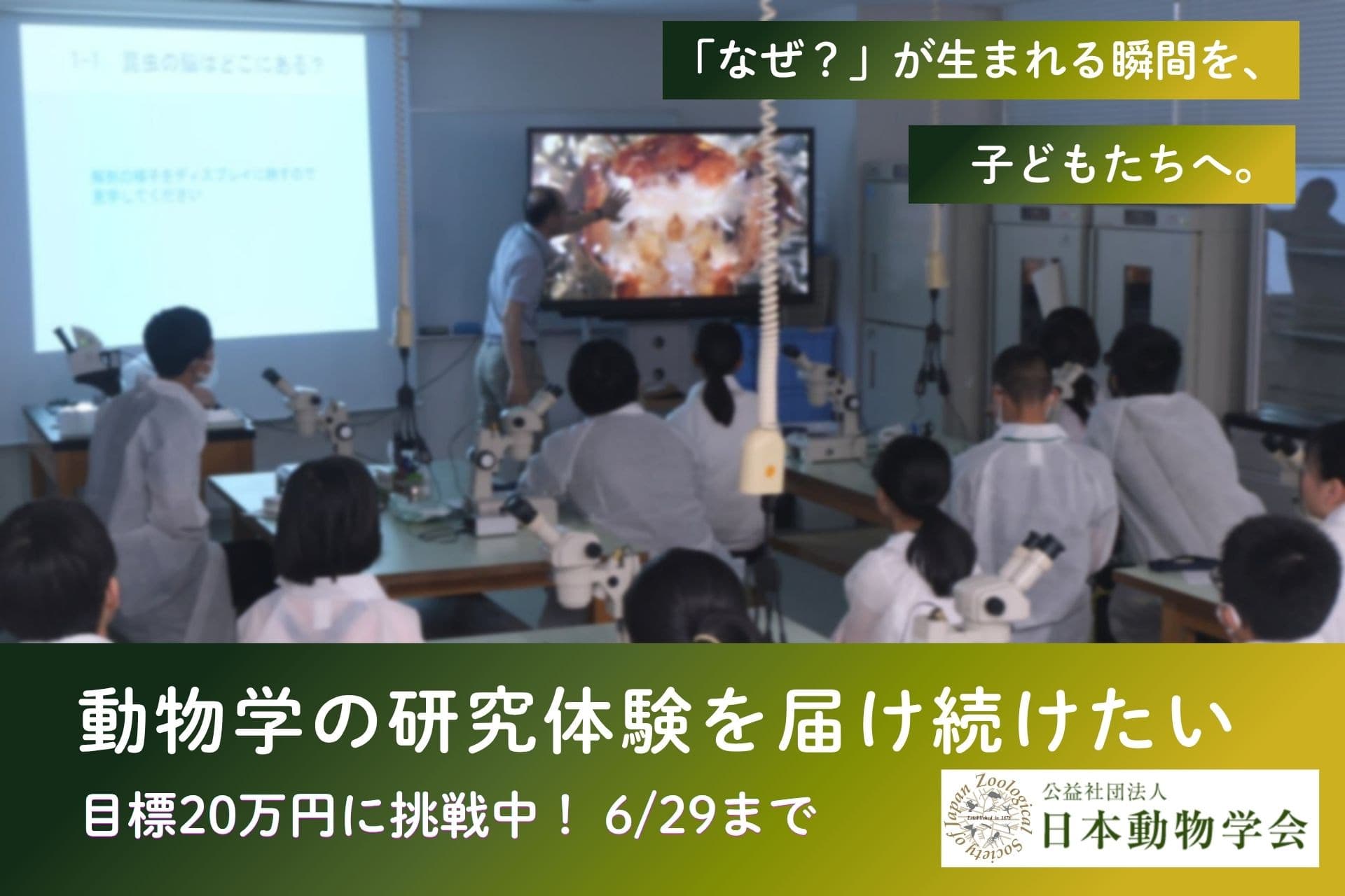 「なぜ？」が生まれる瞬間を、子どもたちへ。動物学の研究体験を届け続けたい 〜 日本動物学会のプログラムを応援してください〜の画像