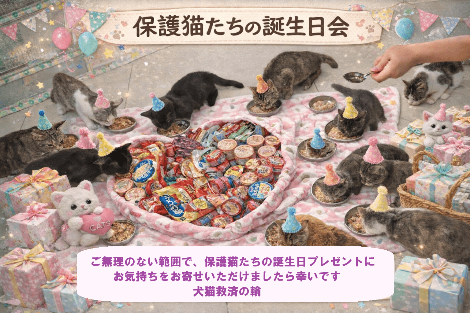 命を救ったその先に、 2026年3月3日「保護猫たちの誕生日」 バースデー・ドネーションの画像