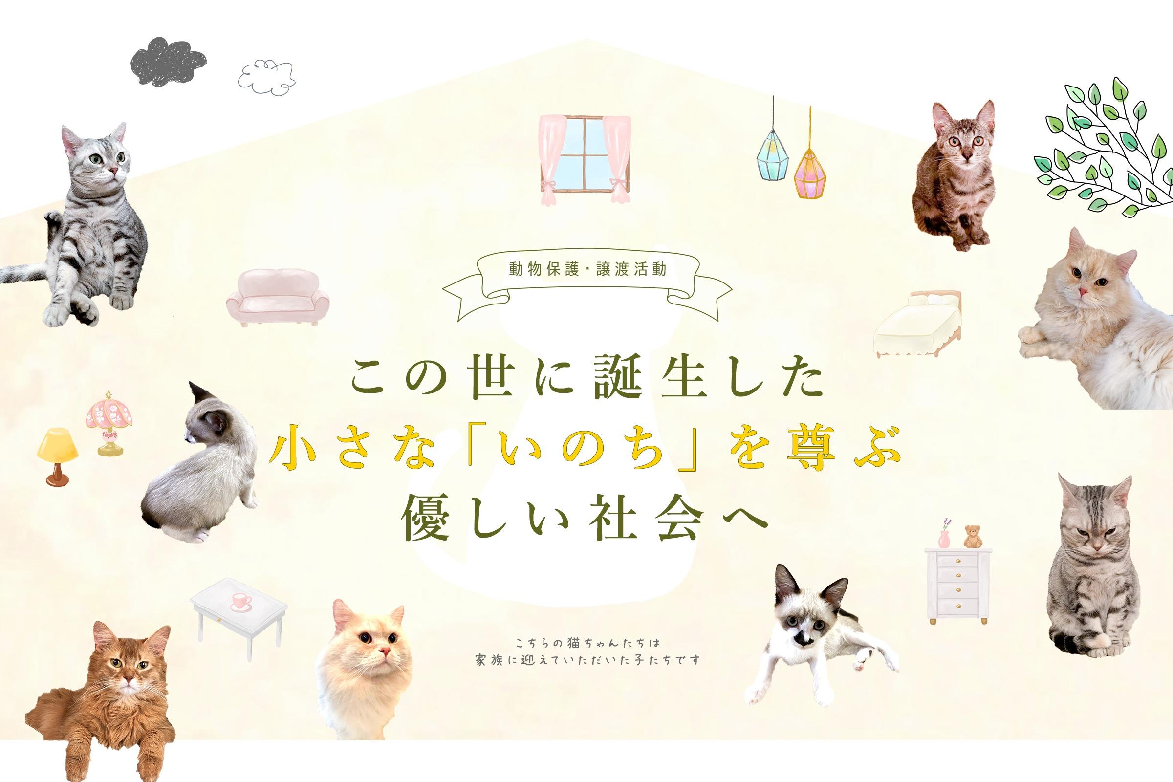 行き場のない命に未来をの画像