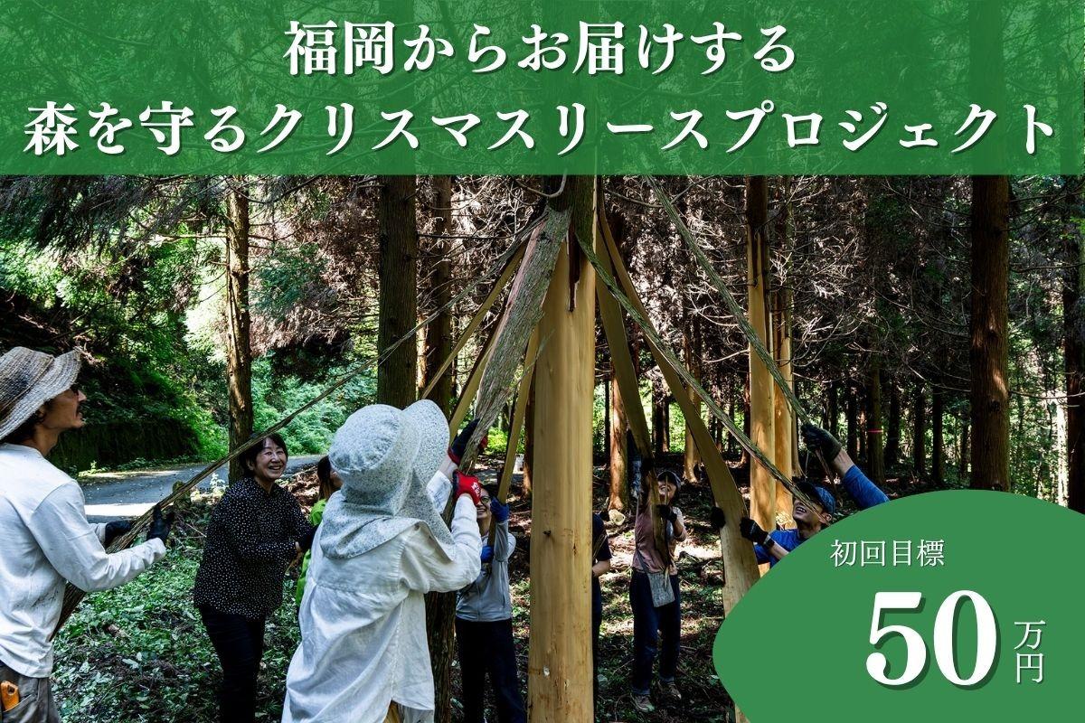 【福岡の森応援ページ】福岡の山から八女杉の魅力をお届けします！ 未来に豊かな森を繋ぐ2025年森を守るクリスマスリースプロジェクトの画像