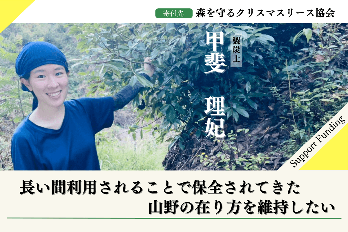 【九州の森から応援】2025年森を守るクリスマスリースプロジェクト甲斐理妃のサポートファンディングページの画像