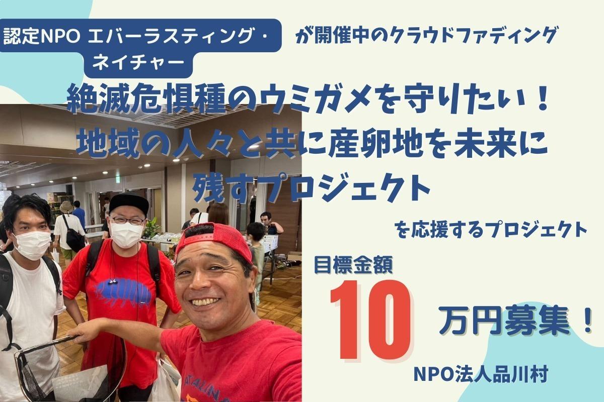 絶滅危惧種のウミガメを守ろう! ~品川村のサポファン~ ※寄付金はエバーラスティング・ネイチャーに直接寄付されます。 Image