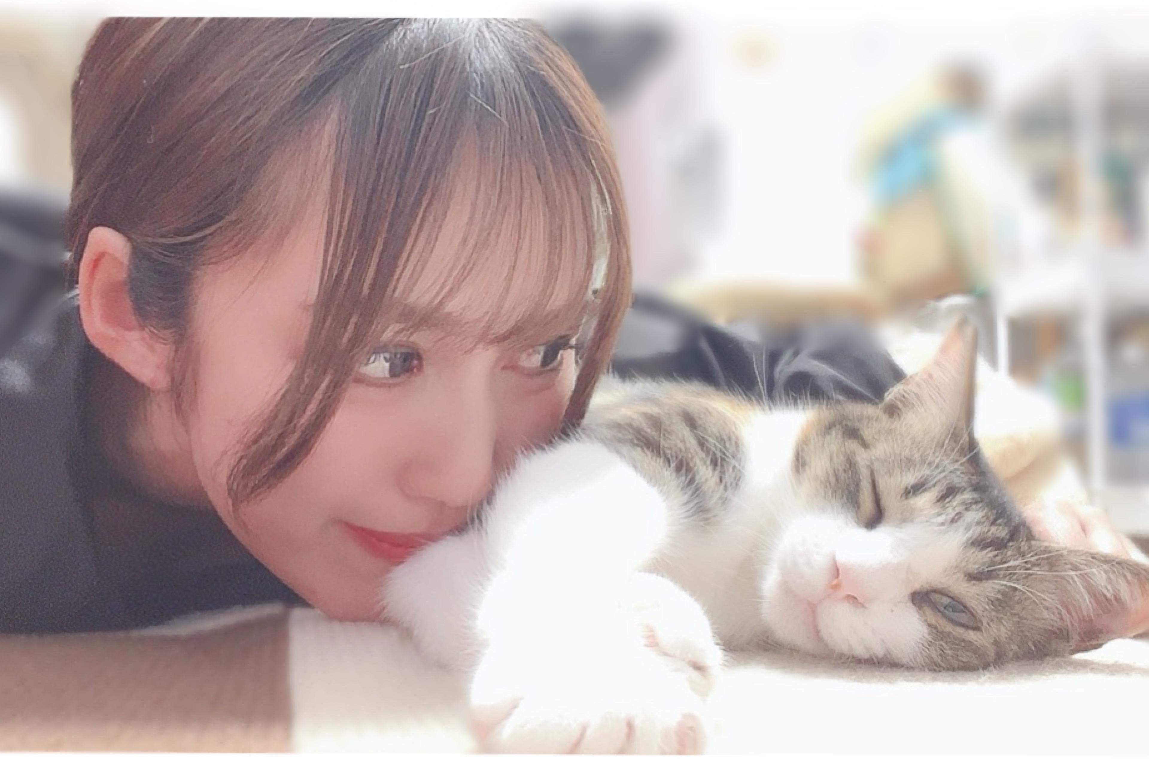 バースデードネーション-てんちゃん出身の保護猫団体様へ寄付の画像