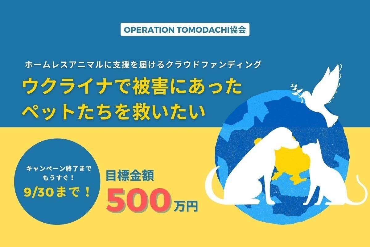 ウクライナで被害にあったペットたちを救いたい。ホームレスアニマルに支援を届けるためのクラウドファンディングに挑戦します！の画像