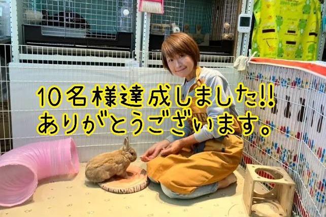うさぎたちの毎日を共に支える“10人の仲間”　マンスリーサポーター募集の画像