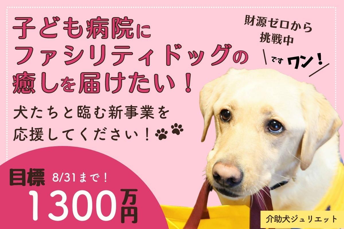 【財源はゼロ】それでも子ども病院にファシリティドッグの癒しを届けたい！犬たちと臨む新事業を応援してください！ Image