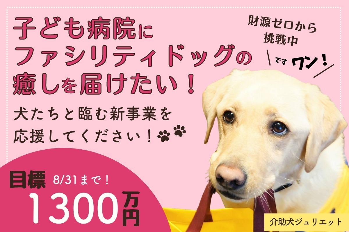 【財源はゼロ】それでも子ども病院にファシリティドッグの癒しを届けたい！犬たちと臨む新事業を応援してください！の画像