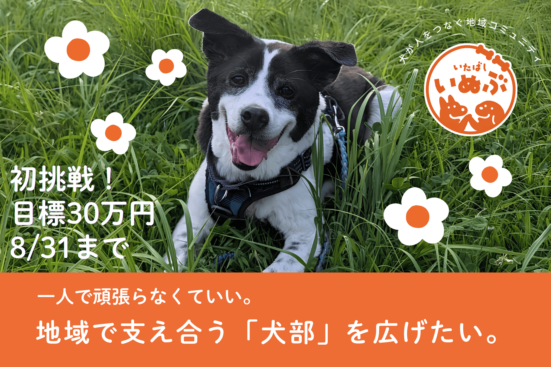 一人で頑張らなくていい。地域で支え合う「犬部」を広げたい。の画像
