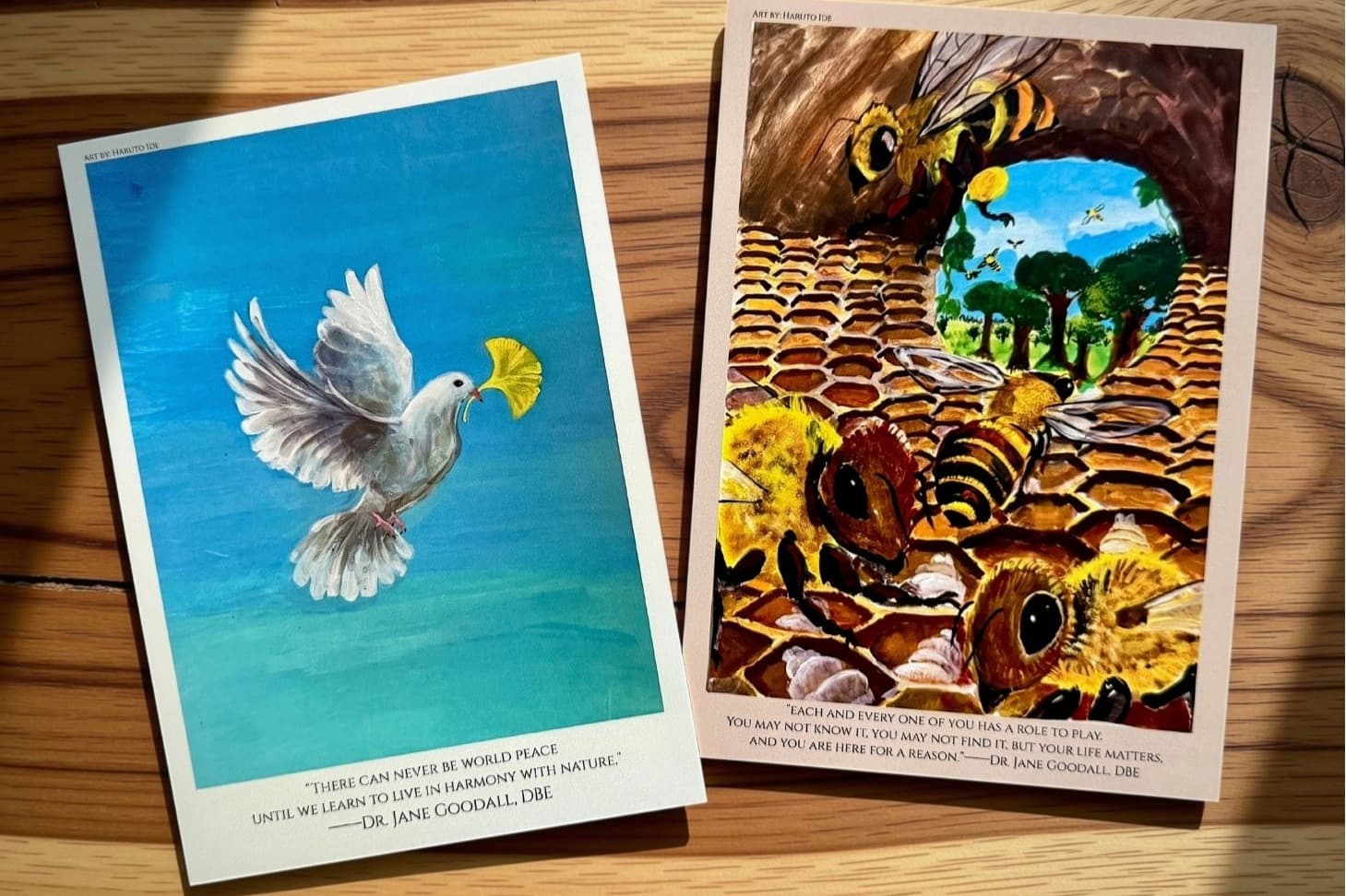🌳リターン付き寄付🌳Peace Dayハガキ🕊️書籍『希望の教室』📚『Roots & Shoots スターターブック』🌱オリジナルステッカー🐵の画像