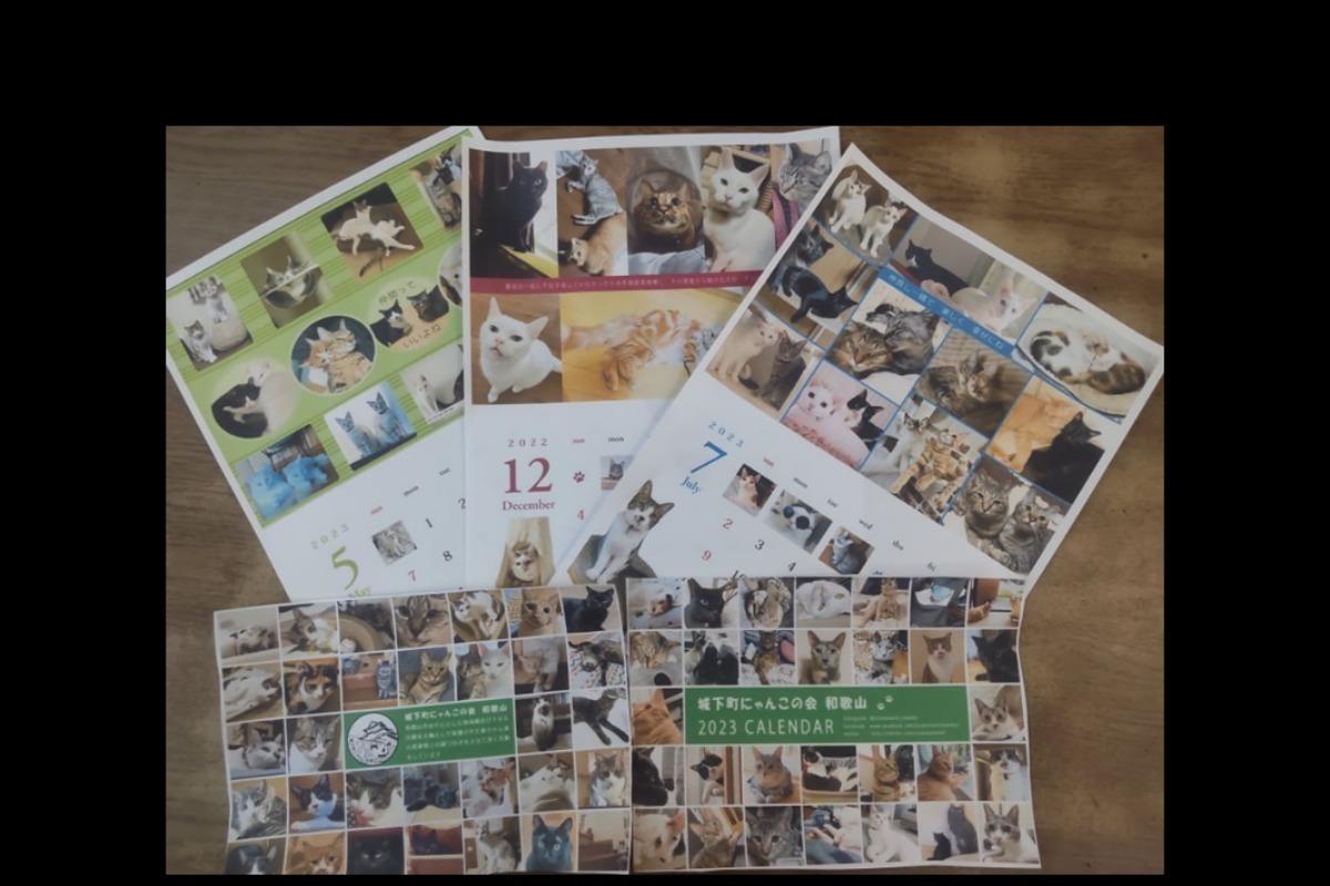 TNHome で幸せになった猫たちの「2023年カレンダー」の画像