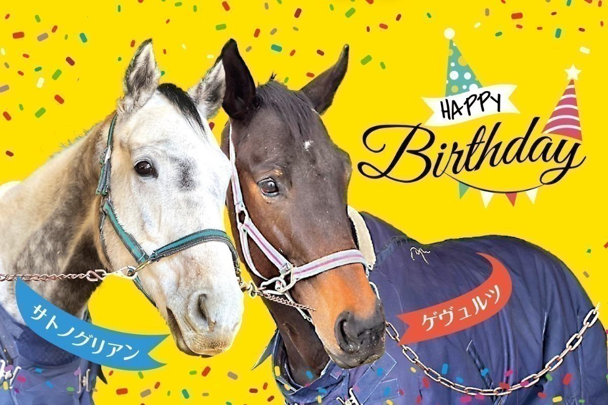 ゲヴュルツ8歳＆サトノグリアン 7歳のバースデードネーションの画像