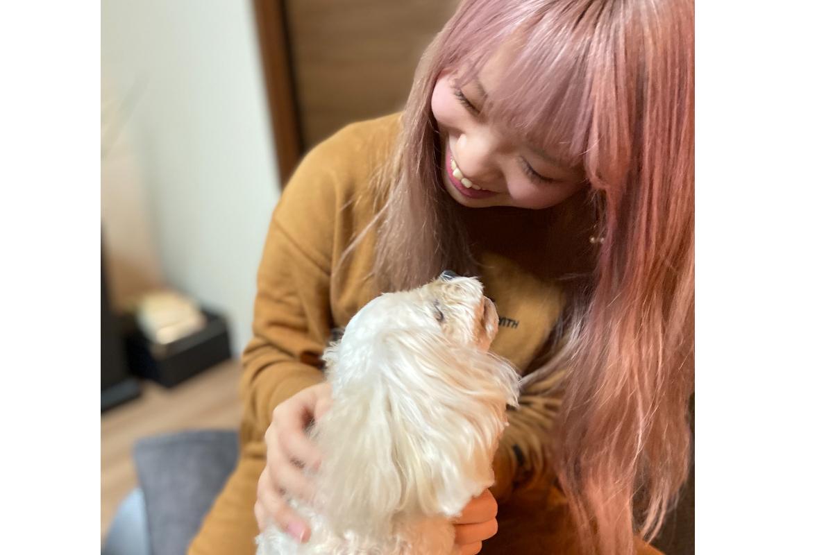 大鹿春花のBDドネーション：勝手に命の期限をつけられた犬たちの為に My First BD Donation for Dogs Whose Life Expectancy Is Decided by Humansの画像