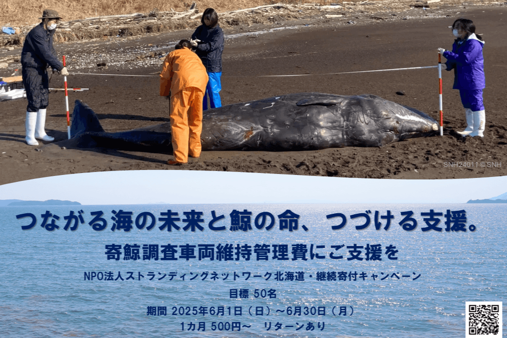 「つながる海の未来と鯨の命、つづける支援。」ストランディングネットワーク北海道・継続寄付キャンペーンの画像